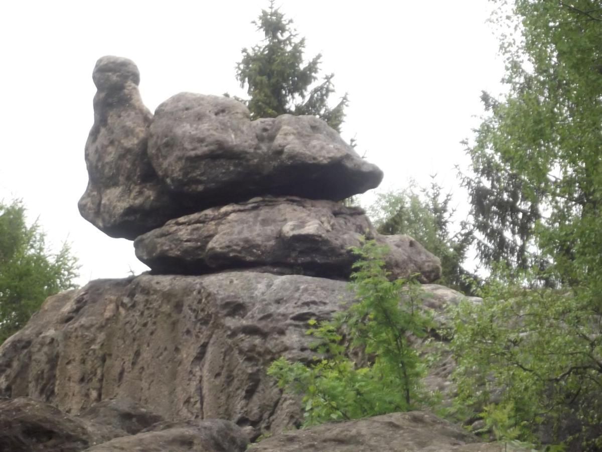 Отель Zum Hecht Herrnhut Экстерьер фото